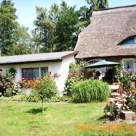 Ferienwohnung "Kleine Deichperle" Prerow Buitenkant foto
