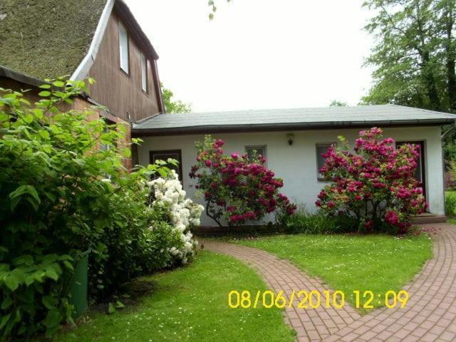 Ferienwohnung "Kleine Deichperle" Prerow Buitenkant foto