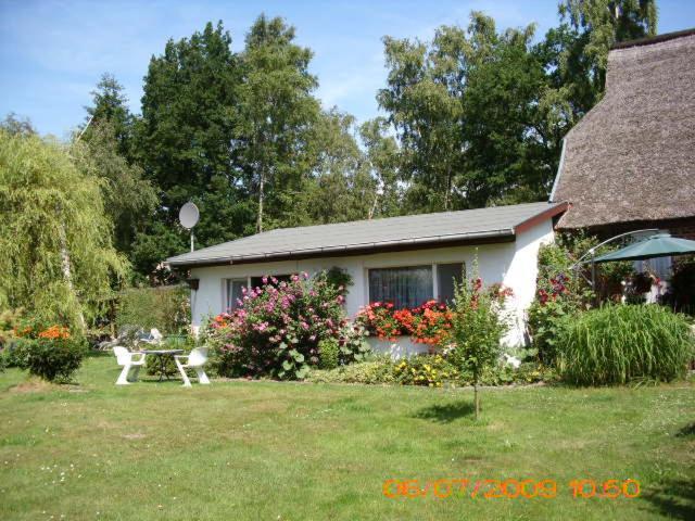 Ferienwohnung "Kleine Deichperle" Prerow Buitenkant foto