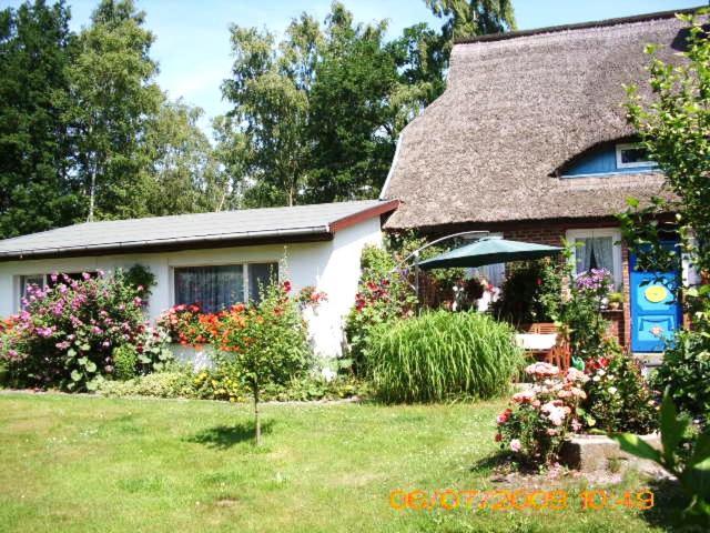 Ferienwohnung "Kleine Deichperle" Prerow Buitenkant foto